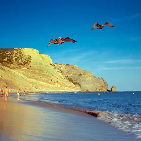 Lejlighed Luzbay Pool *